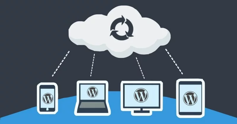 Chú ý tới back up dữ liệu cho website để duy trì hoạt động hiệu quả