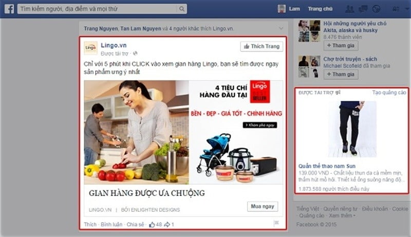 phan-biet-chien-dich-quang-cao-va-chay-quang-cao-bai-dang-tren-facebook2